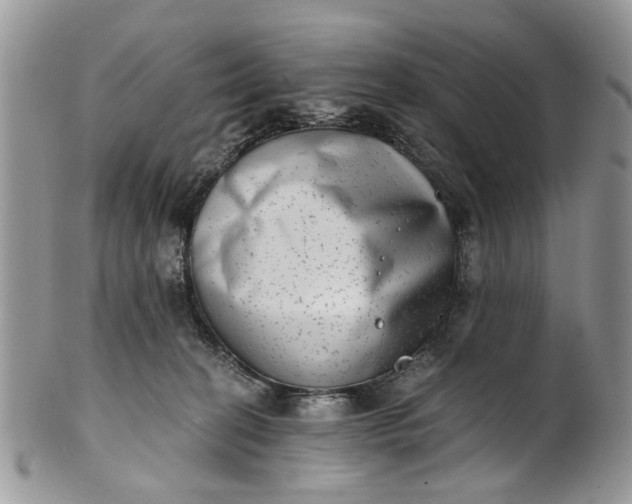 X0000101970274200808011137