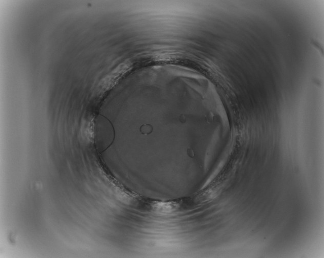 X0000101970277200808011137
