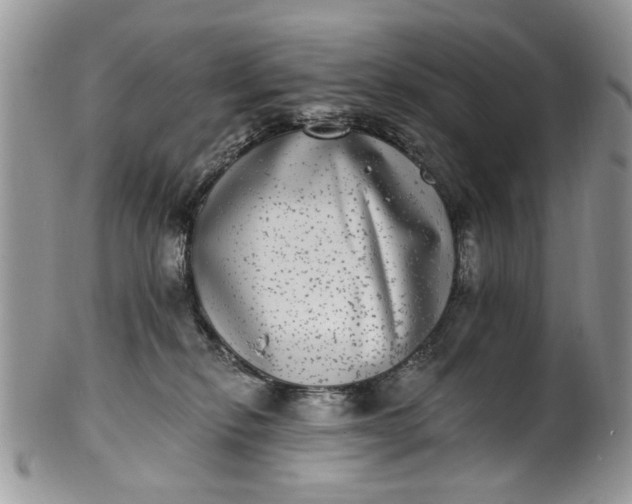 X0000101970278200808011137