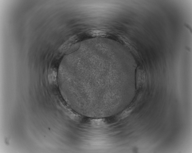 X0000101970281200808011137