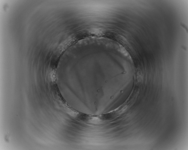 X0000101970285200808011137