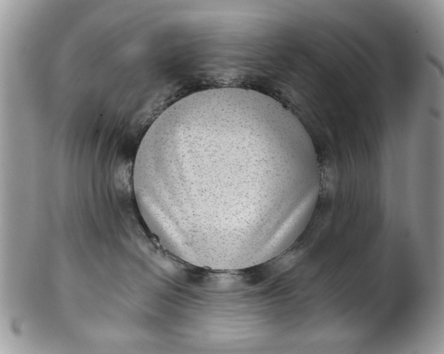 X0000101970286200808011137