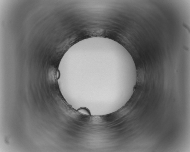 X0000101970287200808011137