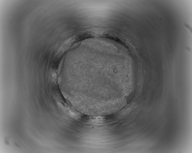 X0000101970288200808011137