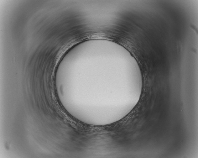 X0000101970289200808011137