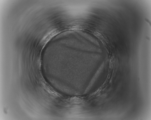 X0000101970290200808011137