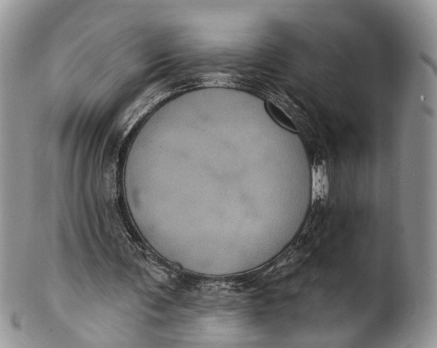 X0000101970291200808011137