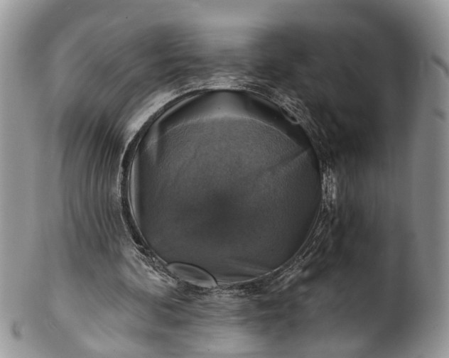 X0000101970292200808011137