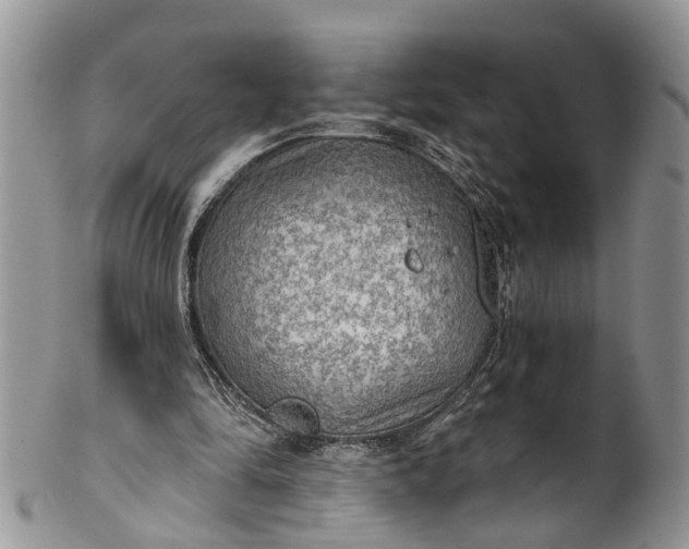 X0000101970294200808011137