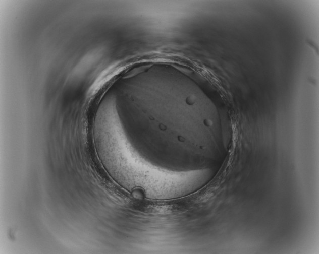 X0000101970295200808011137