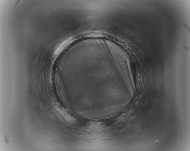 X0000101970296200808011137