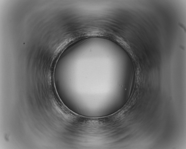 X0000101970298200808011137