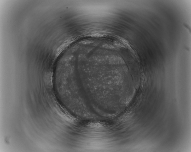 X0000101970299200808011137
