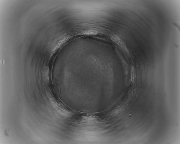 X0000101970300200808011137