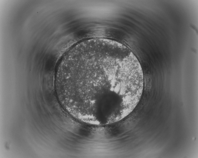 X0000101970301200808011137