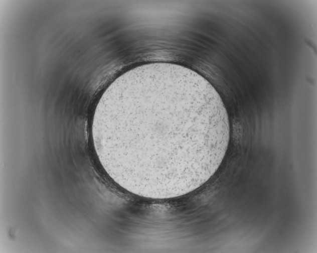 X0000101970302200808011137