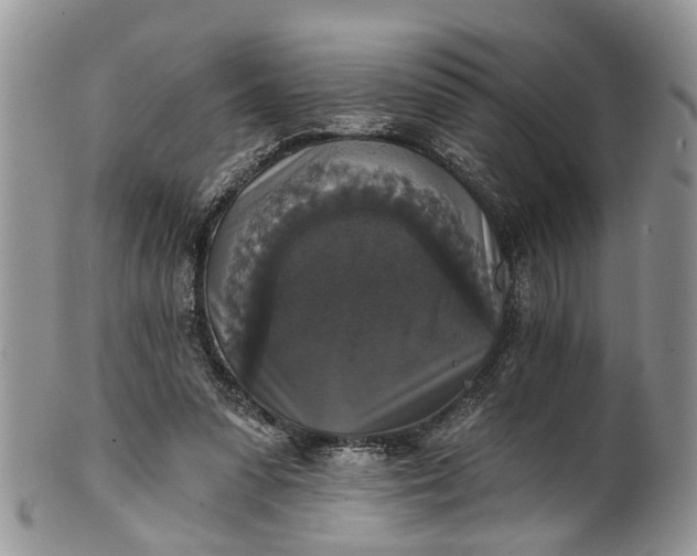 X0000101970303200808011137