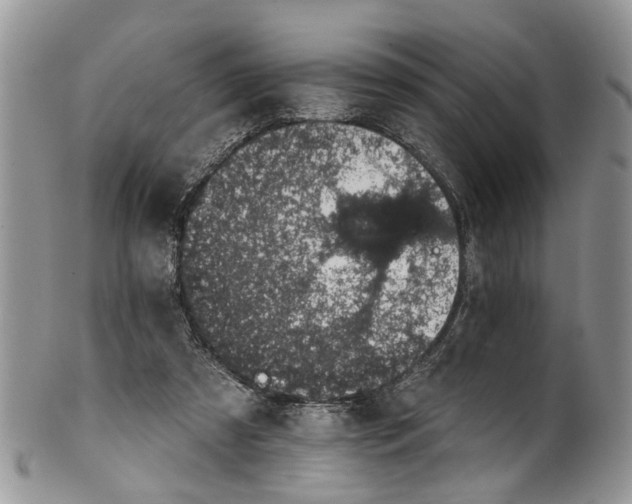 X0000101970305200808011137