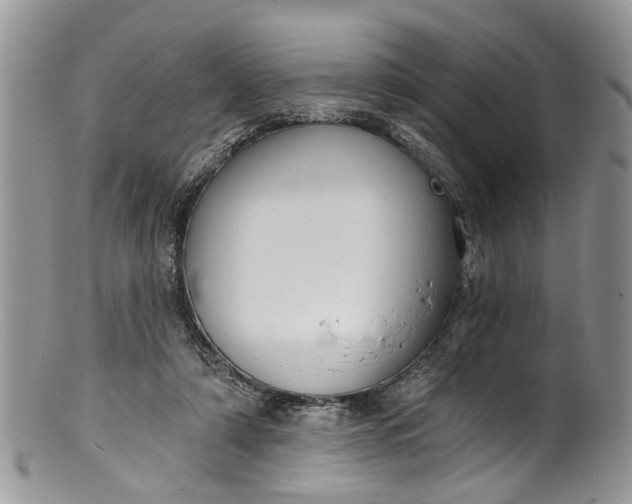 X0000101970306200808011137