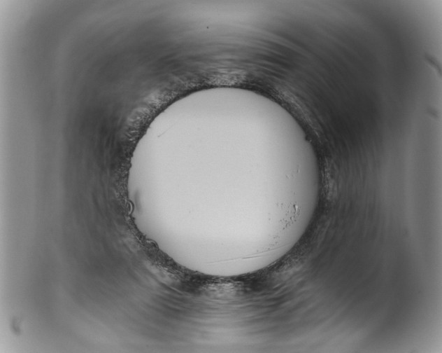 X0000101970307200808011137