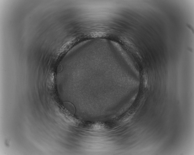 X0000101970308200808011137