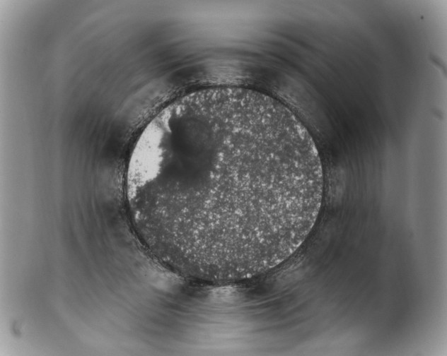 X0000101970309200808011137