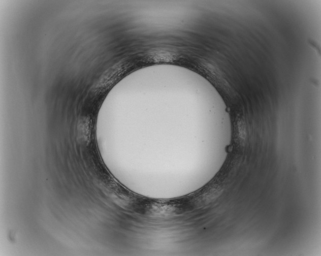 X0000101970311200808011136