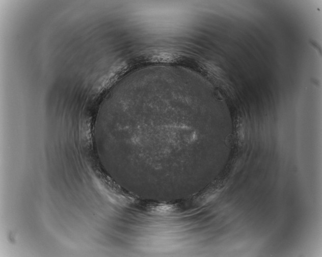 X0000101970312200808011136