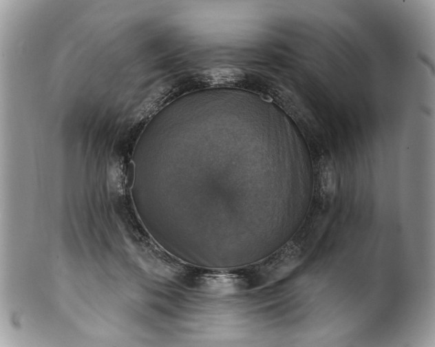 X0000101970316200808011136