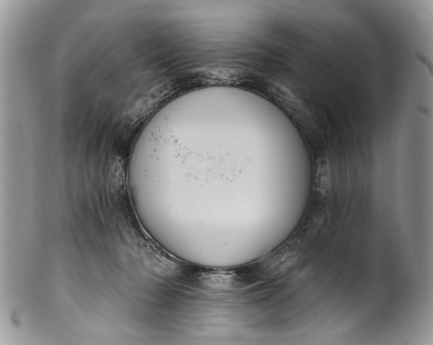 X0000101970318200808011136