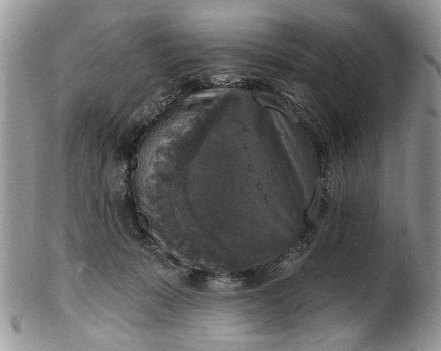 X0000101970319200808011136