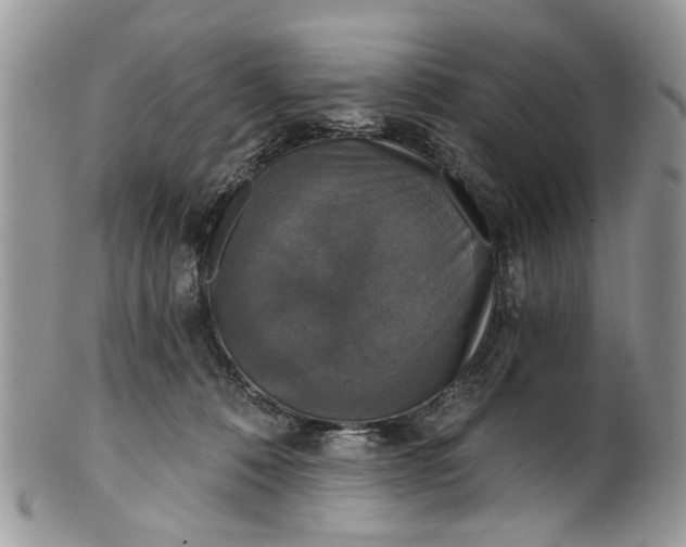 X0000101970320200808011136