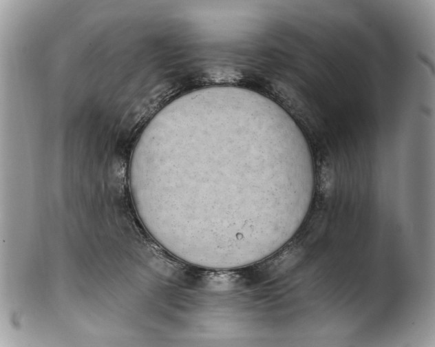 X0000101970321200808011136