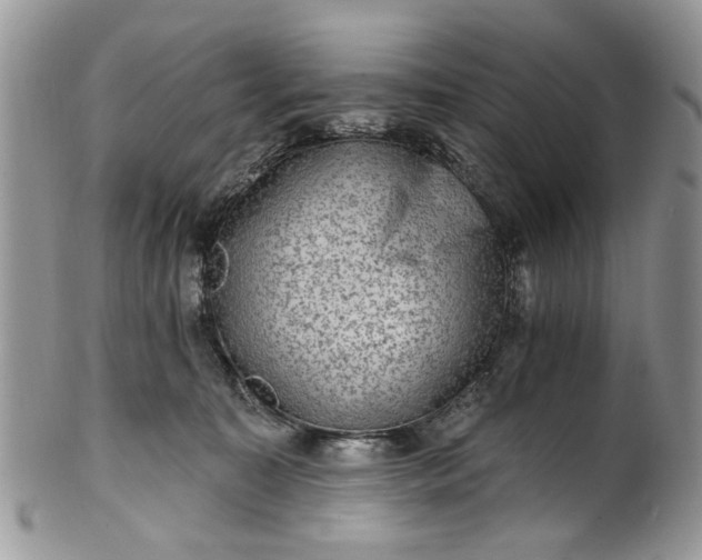 X0000101970323200808011136