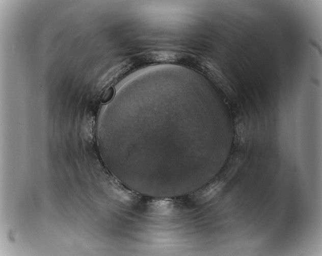 X0000101970325200808011136