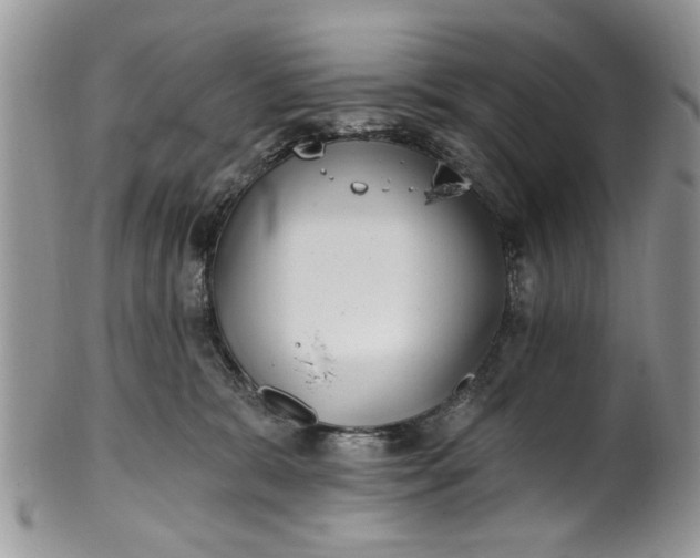 X0000101970327200808011136