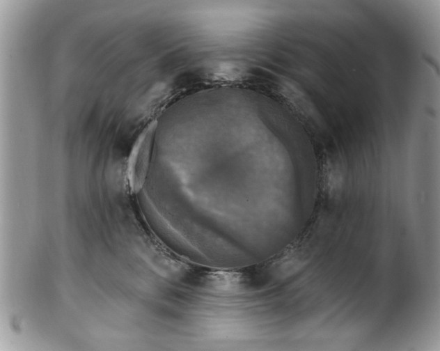 X0000101970328200808011136