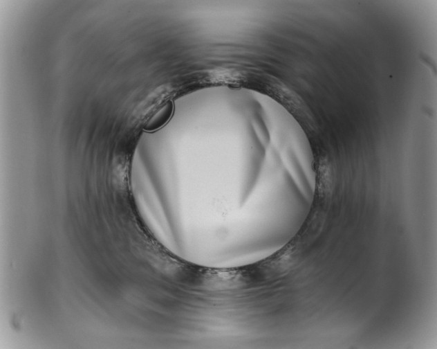 X0000101970329200808011136