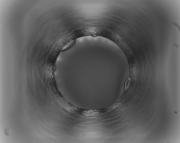 X0000101970331200808011136