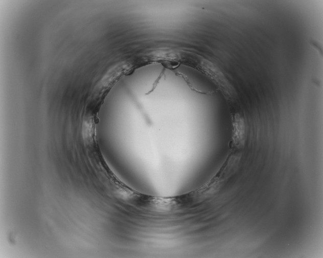 X0000101970333200808011136