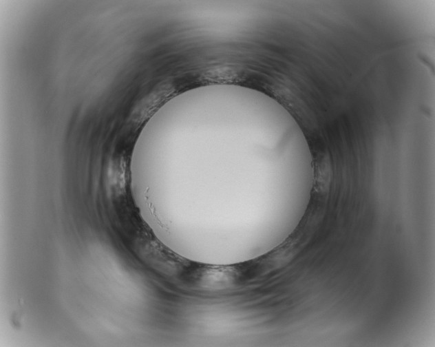 X0000101970334200808011136