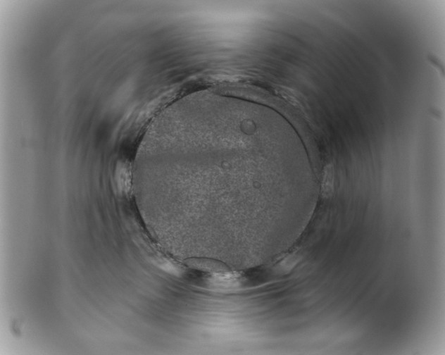 X0000101970335200808011136