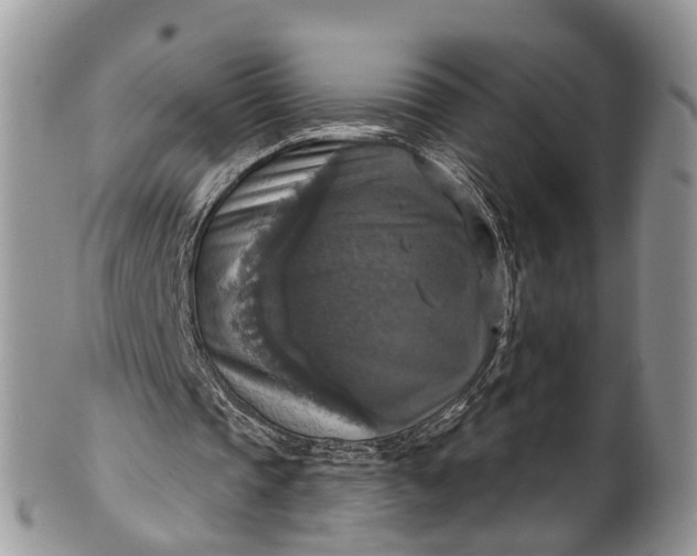 X0000101970337200808011135