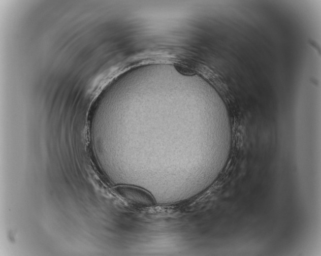 X0000101970338200808011135
