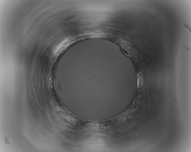 X0000101970339200808011135