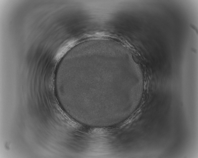 X0000101970341200808011135