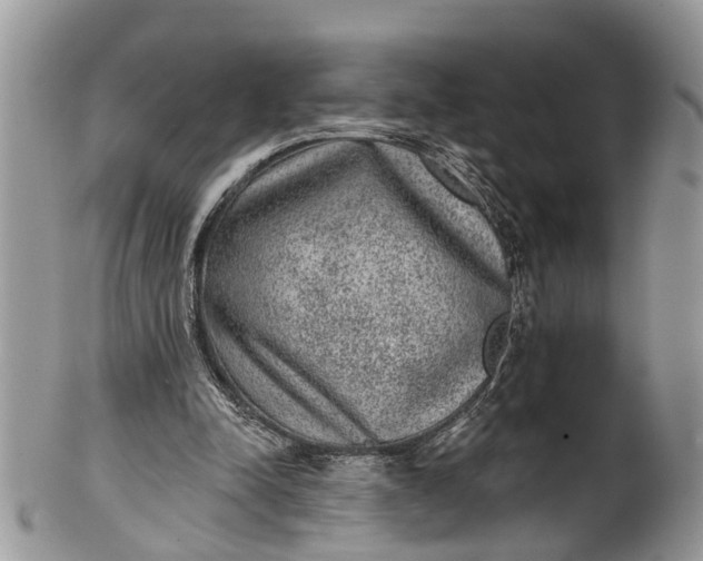 X0000101970342200808011135