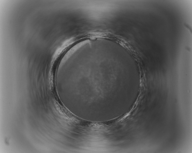 X0000101970343200808011135