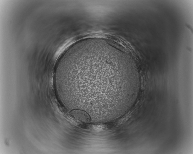 X0000101970344200808011136