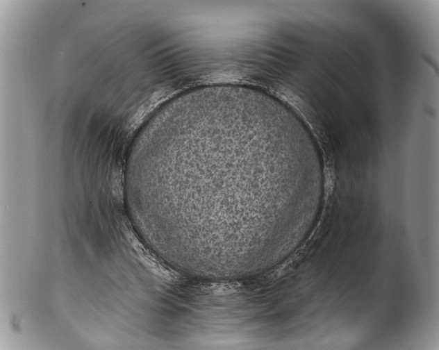 X0000101970345200808011136